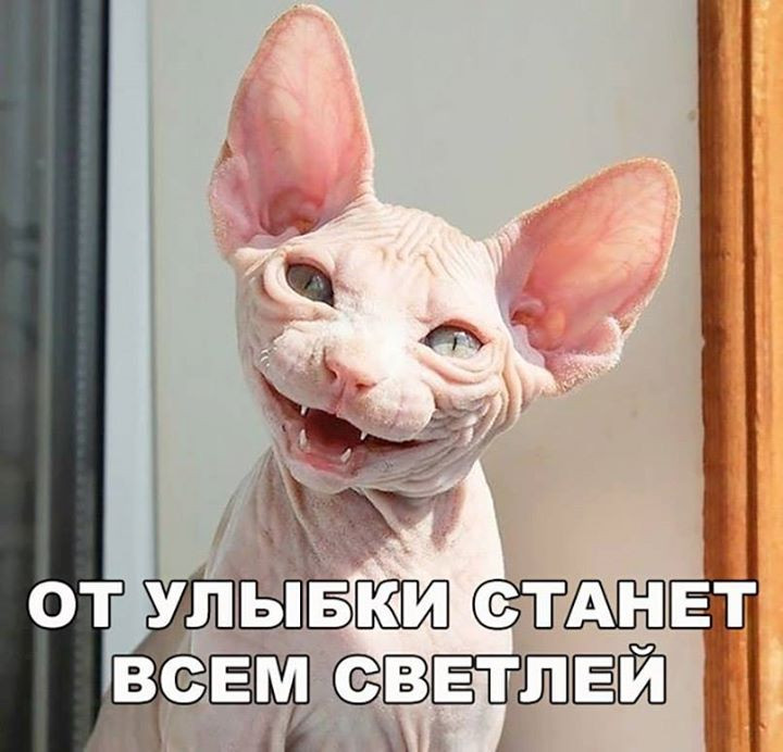 1567152208_2.jpg.jpeg