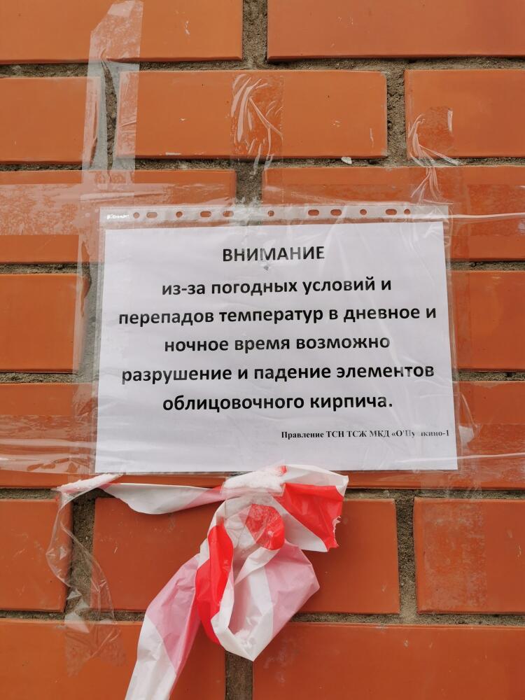 1580380566117934891.jpg.jpeg