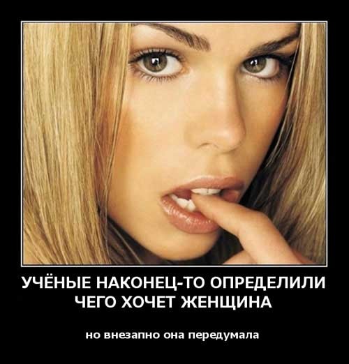1606382466_3.jpg.jpeg