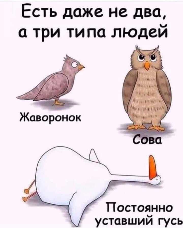 1649583536129892524.jpg.jpeg