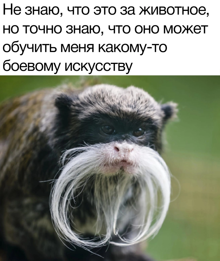 1655893075228628965.png.png