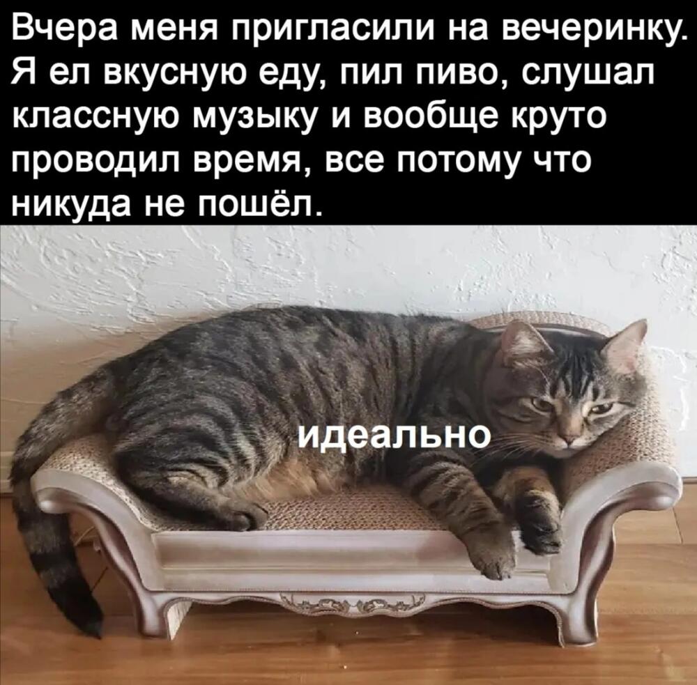 1656179430174692762.jpg.jpeg