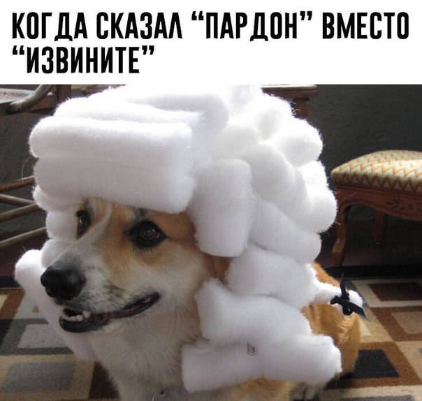 1eRa9pTHV0g.jpg.jpeg