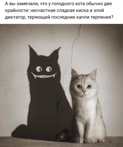 701604_600.jpg.jpeg