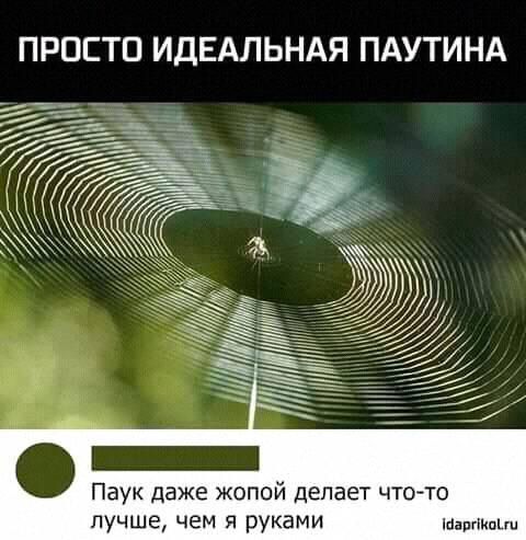 b00920f8115f1135f83a724e5726a536.jpg.jpeg