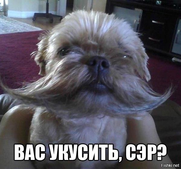 d0df409f054d05bba473421539627ed7.jpg.jpeg
