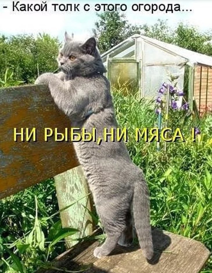 DwDy7hHXcAAIye9.jpg.jpeg