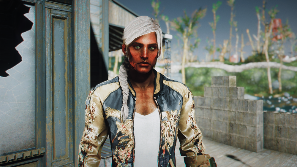 Fallout4-2022-06-19-17-54-56-53.png.png