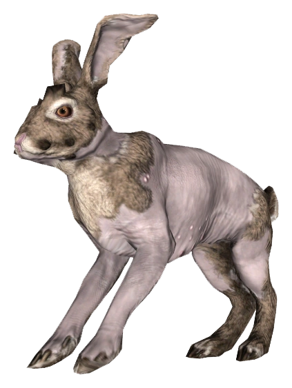 Fo4FH_rad_rabbit.webp