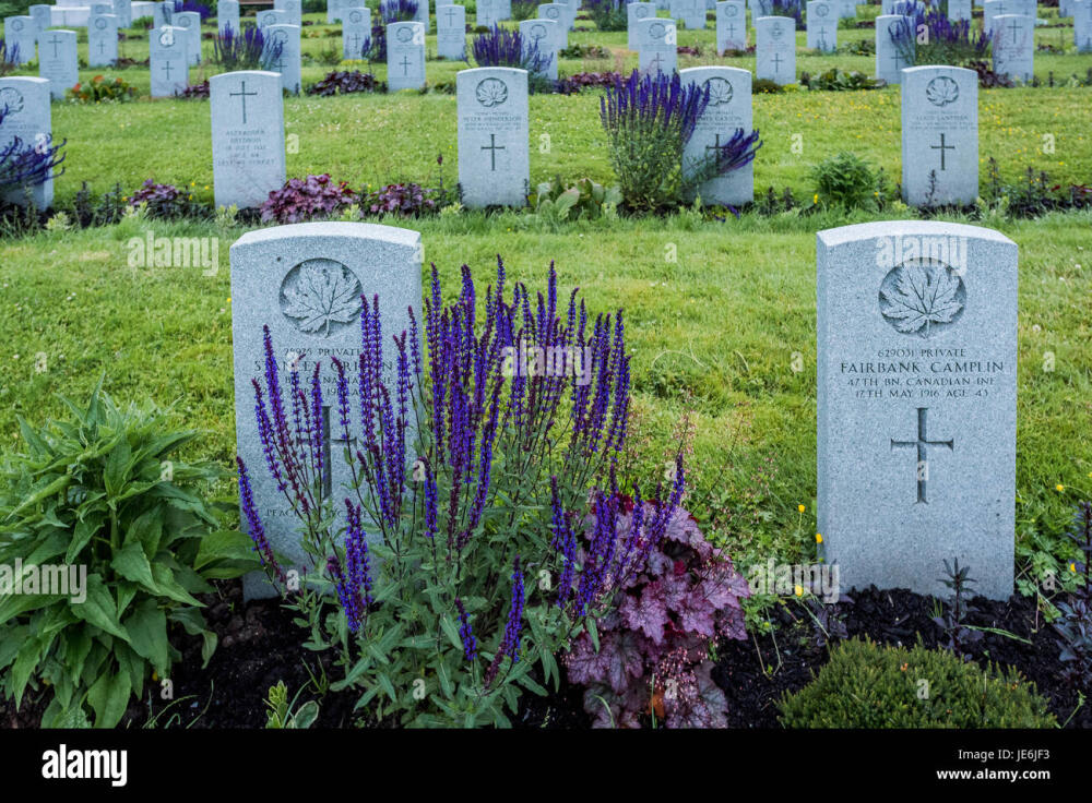 gravesites-of-canadian-infantry-soldiers-mountain-view-cemetery-vancouver-JE6JF3.jpg.jpeg
