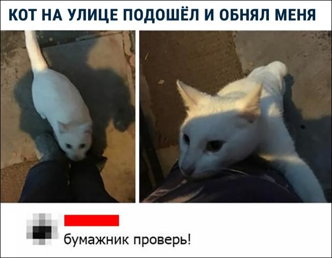 kartinki-06012019-012.jpg.jpeg