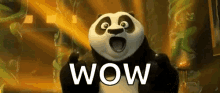 kung-fu-panda-kung-fu-panda-gi-fs.gif