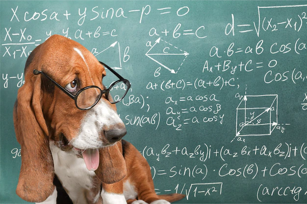math-dog-crazy-glasses-academic-animal-blackboard_488220-863.jpg.webp