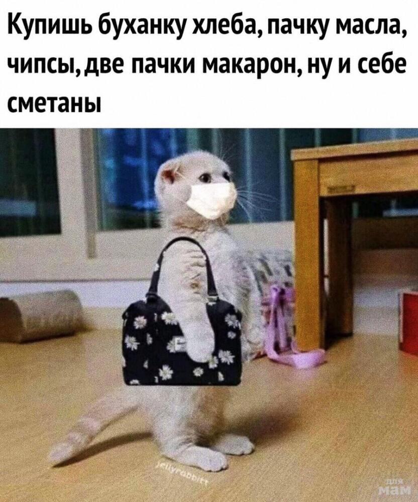 ppakijqzqm8.jpg.jpeg