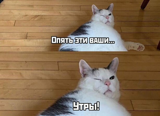 1.jpg.jpeg