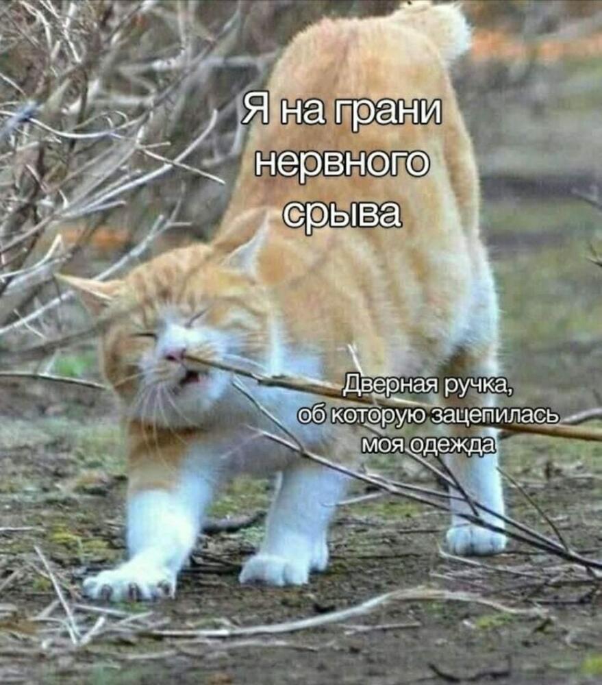 1607447853125065099.jpg.jpeg