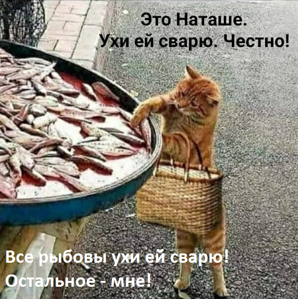 1653571925151188810.jpg.jpeg
