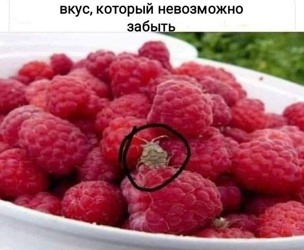 1656939069160656401.jpg.jpeg