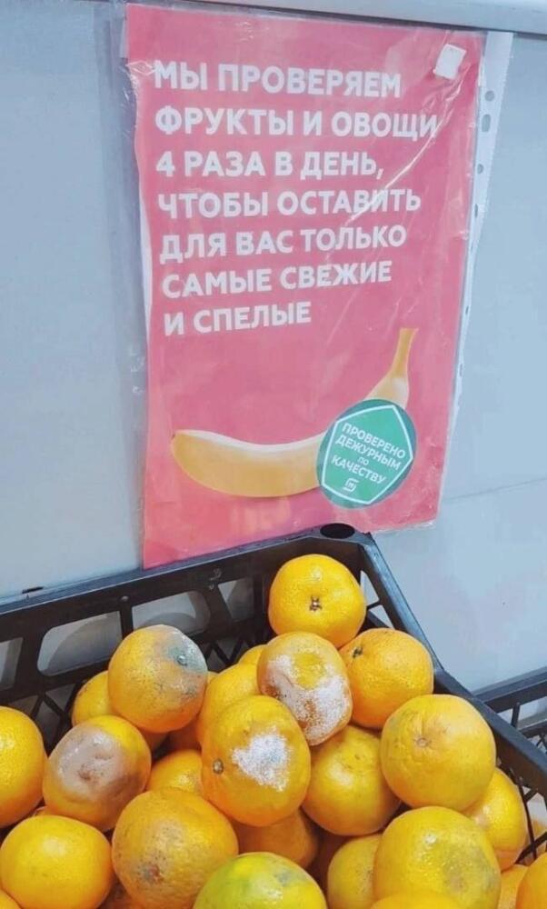 1657709562110681000.jpg.jpeg