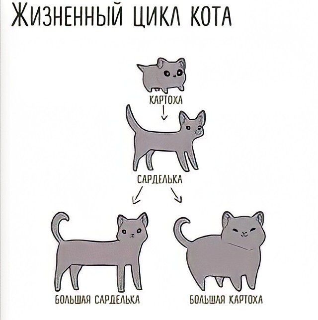 1658748804129910739.jpg.jpeg