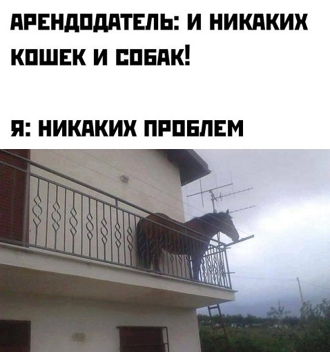 1659188892158452136.jpg.jpeg
