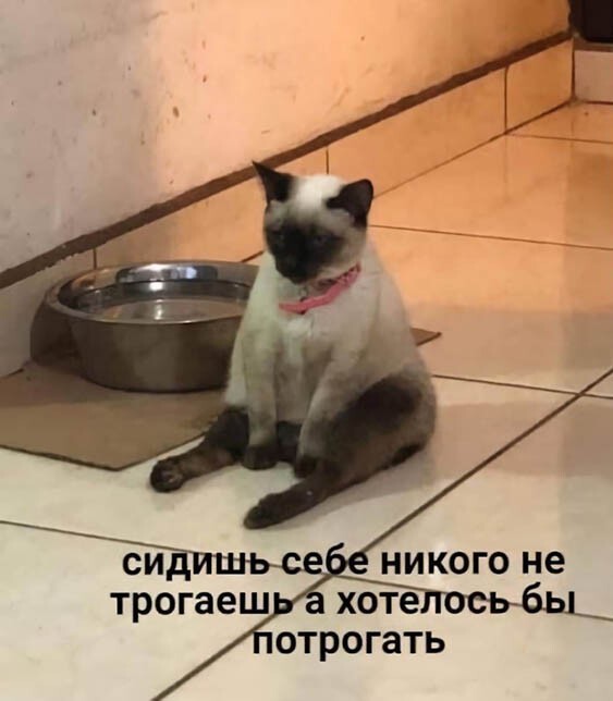 4-13.jpg.jpeg