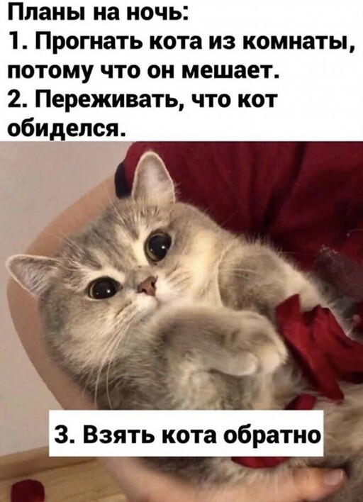 4-2.jpg.jpeg