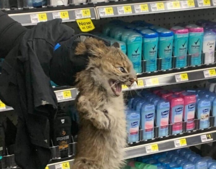 4645410f86c51b98ba34221374cf8b50.jpg.jpeg