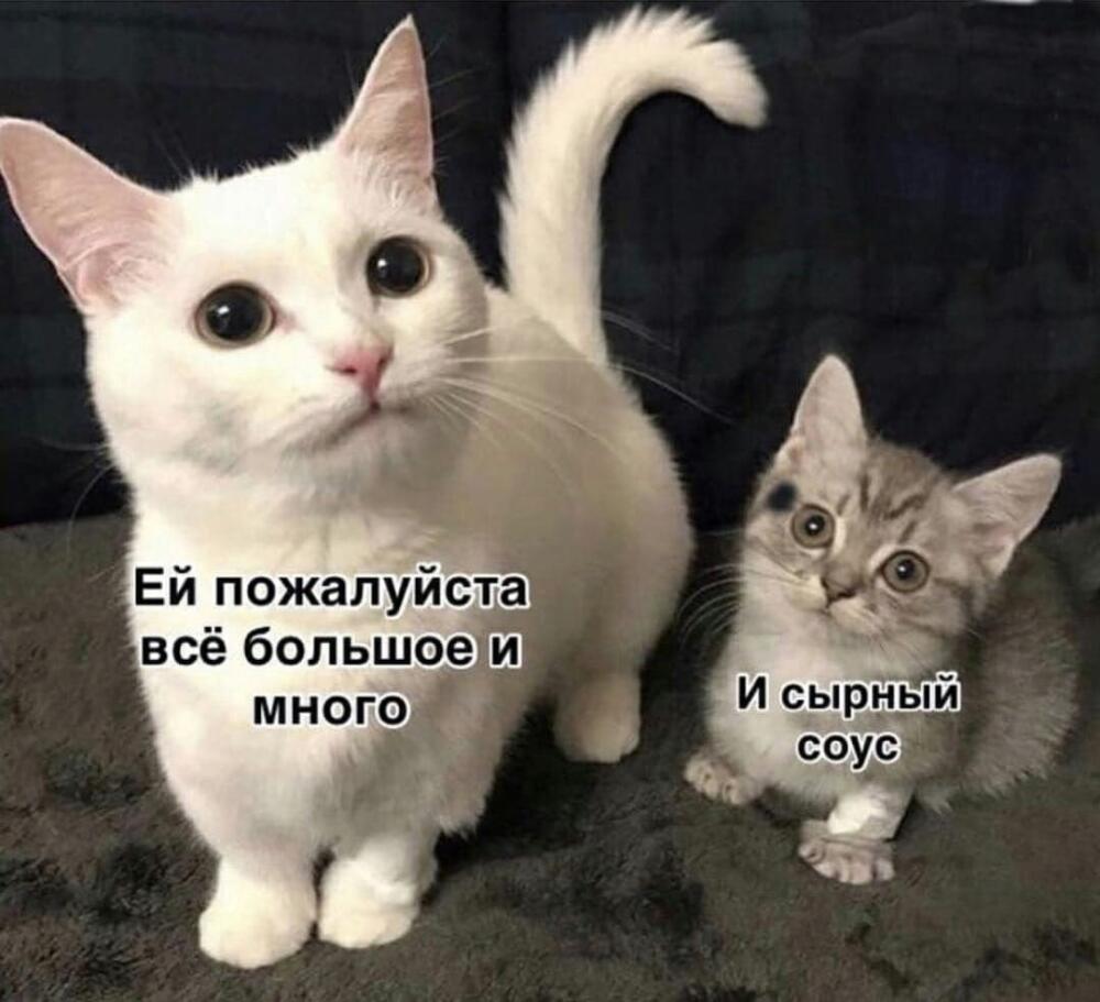 bCw47uX.jpg.jpeg