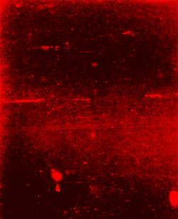 E1c8.gif