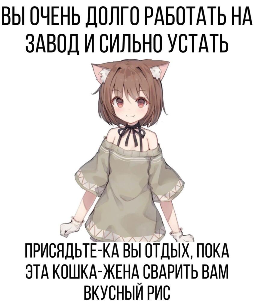 HyQ3SYg.jpg.jpeg