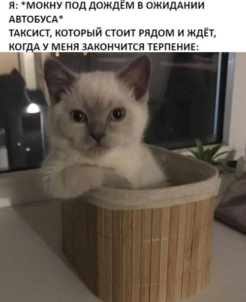 jpg.jpeg