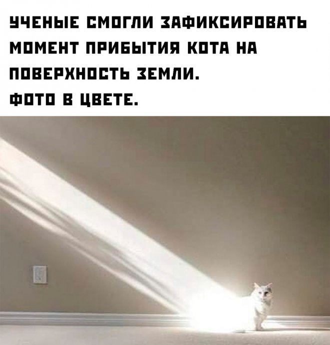 jpg.jpeg
