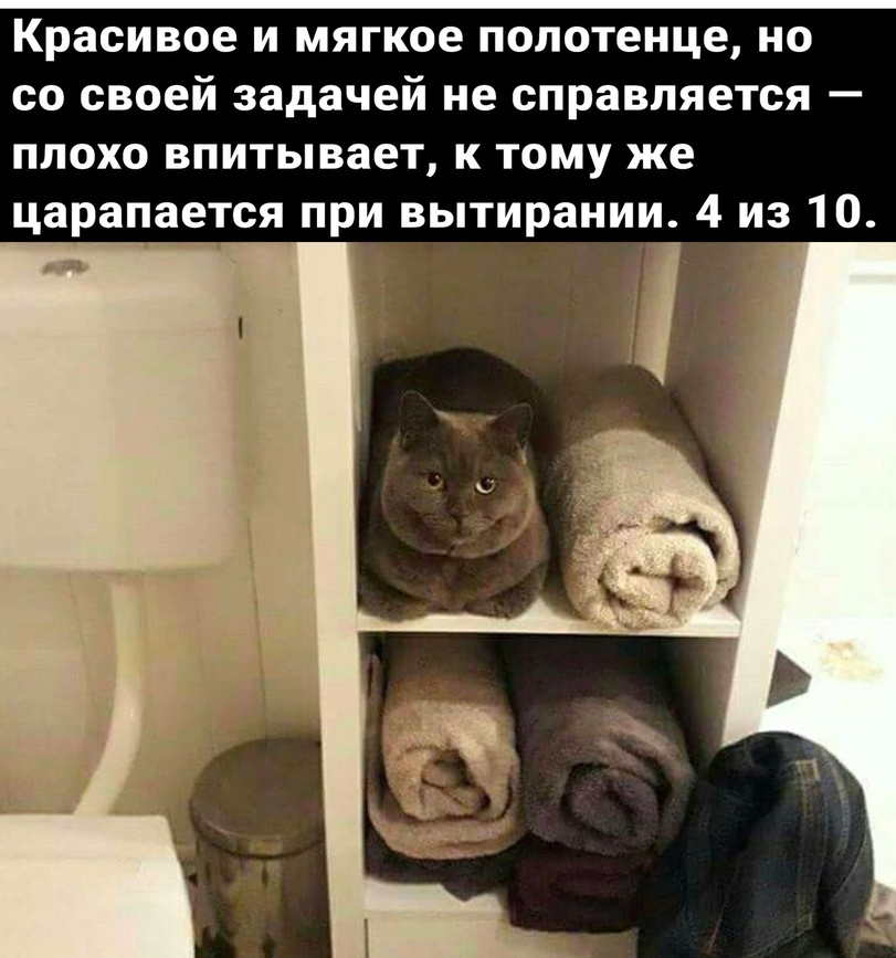 jpg.jpeg