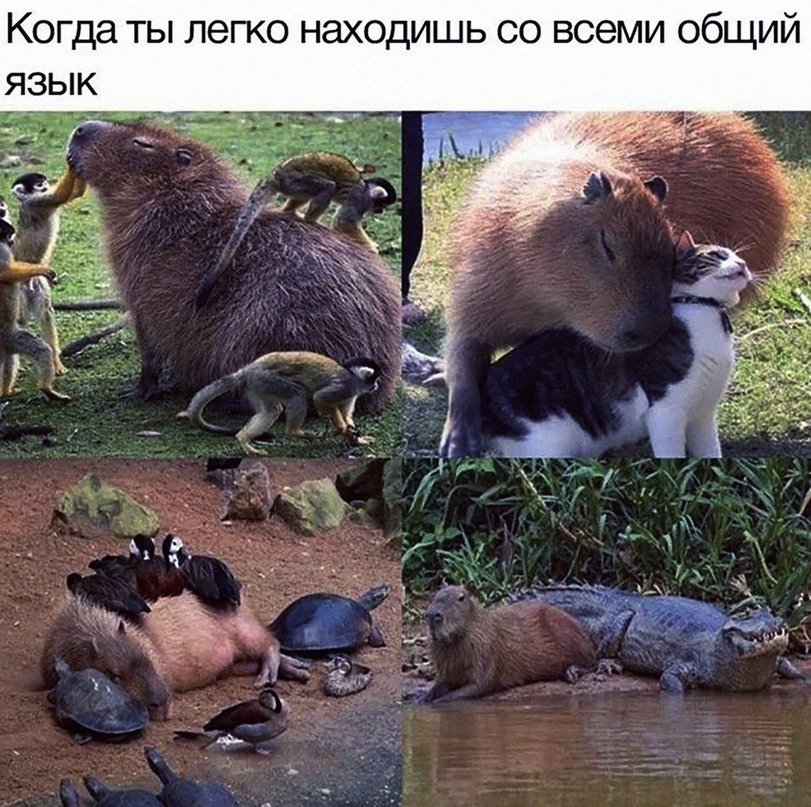 jpg.jpeg