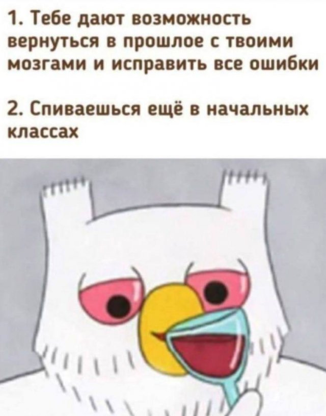 photo16526176807.jpg.jpeg