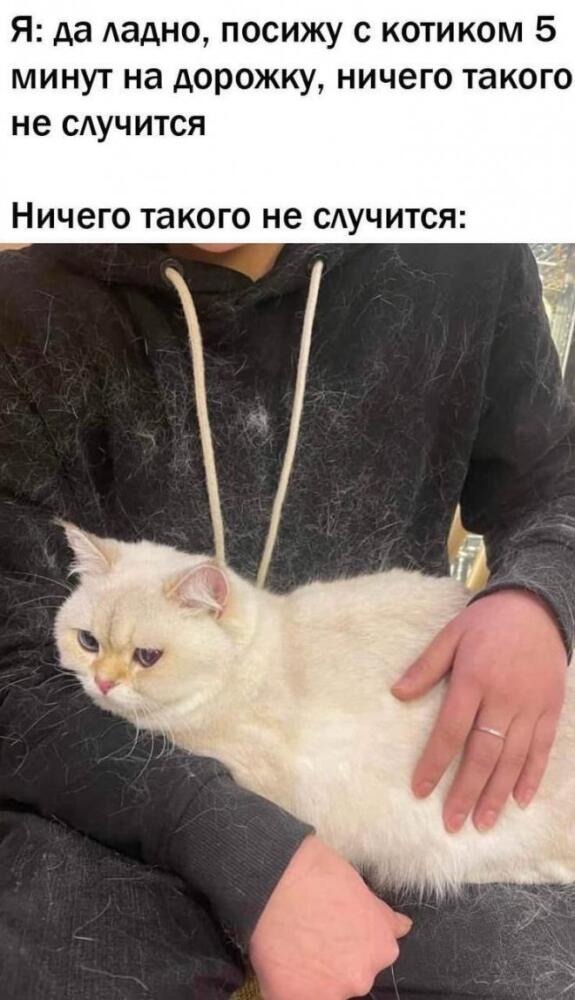 yumor-iz-interneta-20-foto_1.jpg.jpeg