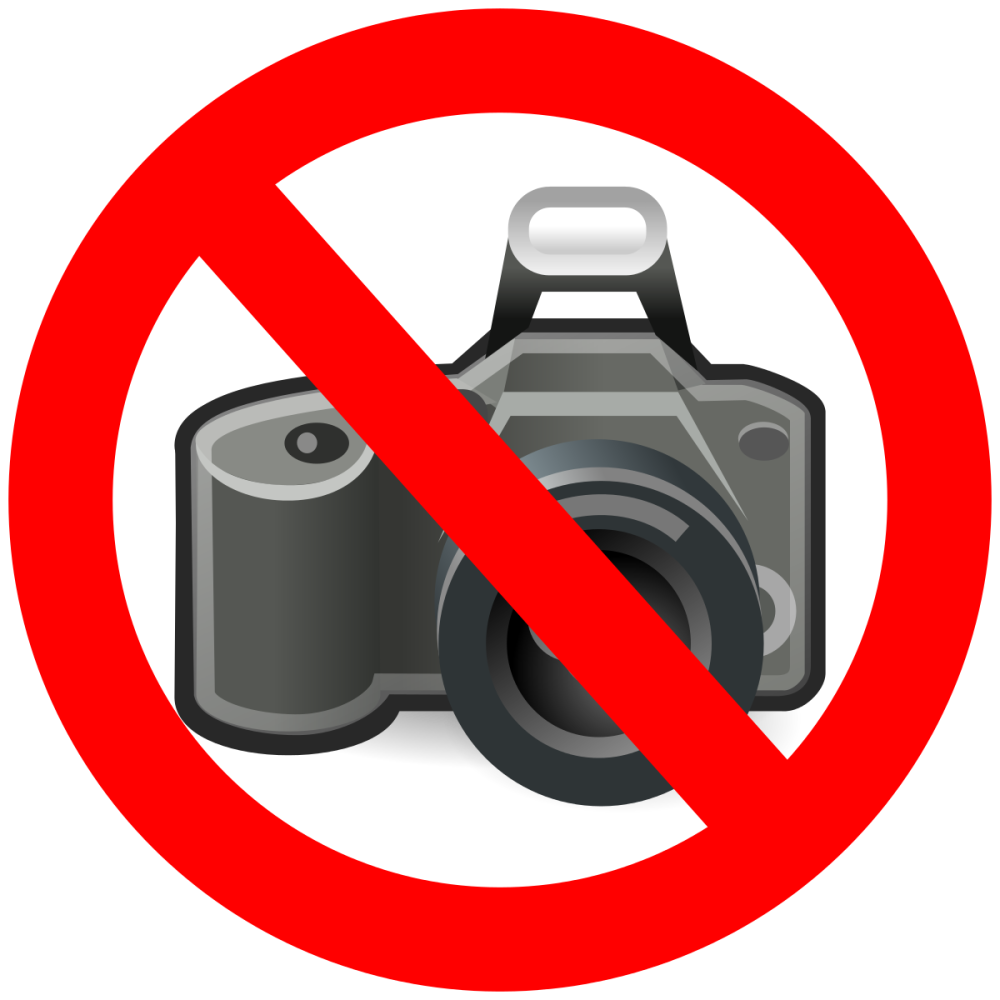 zhidkie-koty-oni-pomeschayutsya-v-lyuboe-prostranstvo_5.png.webp.png