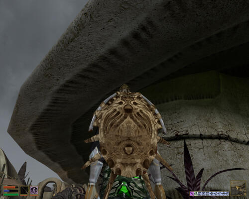 Подробнее о "Bonemold shield Retexture| Ретекстур костяного щита"