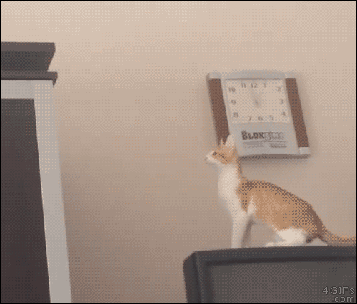 1445498747191413564.gif