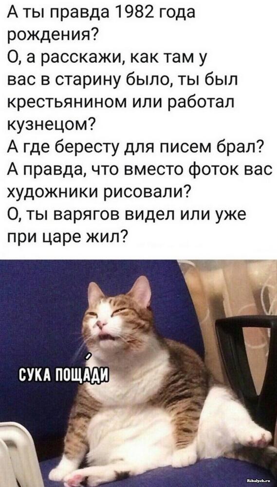 1647188023_1-krot-info-p-smeshnie-teksti-smeshnie-foto-1.jpg.jpeg