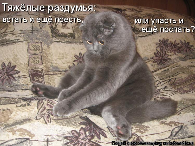 375643.jpg.jpeg