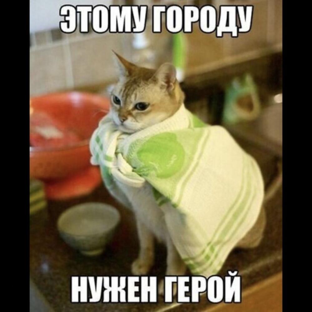39c35546bc93e5aef8d43141e54704cb.jpg.jpeg