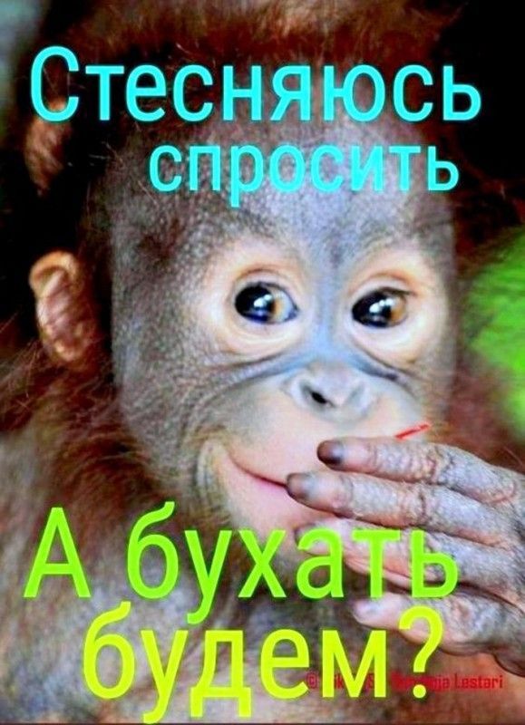 40dce6e95917e74cc7cebbab20c8df3b.jpg.jpeg