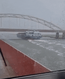 53d788de_resizedScaled_740to900.gif