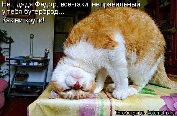 83d14d1s-960.jpg.jpeg