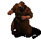anims-arundel-animated.gif