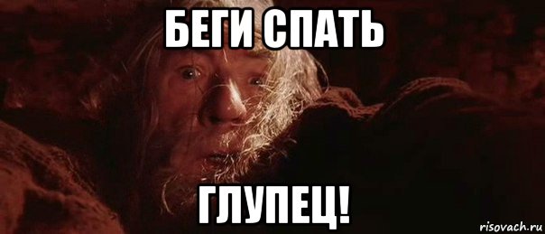 begite-glupcy_100004218_orig_.jpg.jpeg