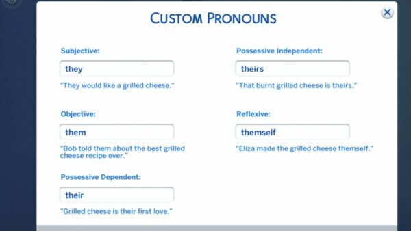 customize-pronouns-600x338-1.jpg.jpeg