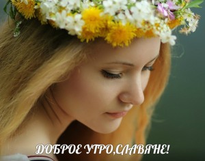 e29b711ce4c3f2b93a1d32d80b8ff869.md.jpg.jpeg